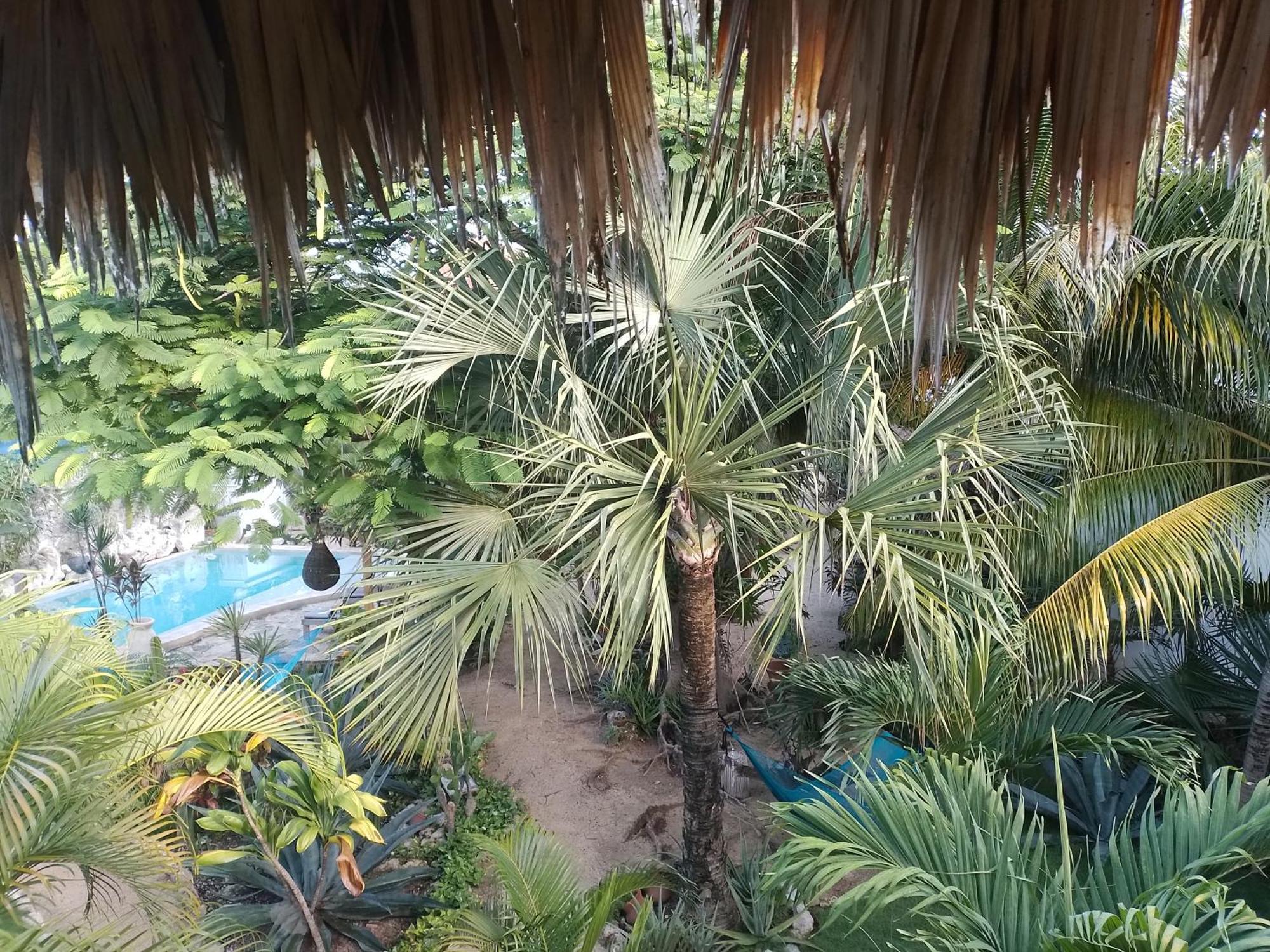Отель Zamunda Garden View Тулум Экстерьер фото