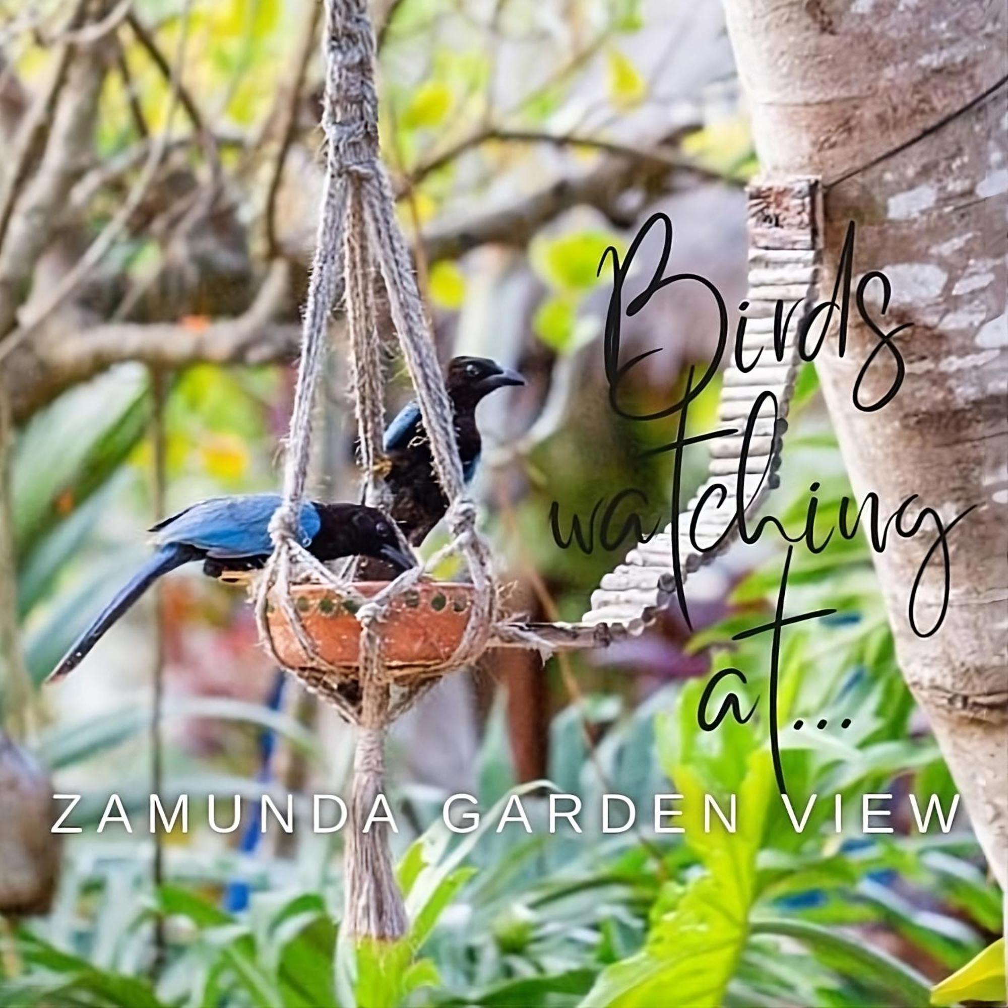 Отель Zamunda Garden View Тулум Экстерьер фото