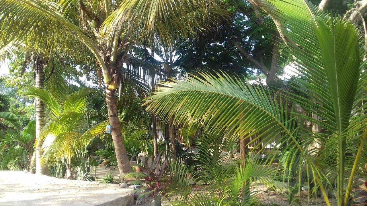Отель Zamunda Garden View Тулум Экстерьер фото